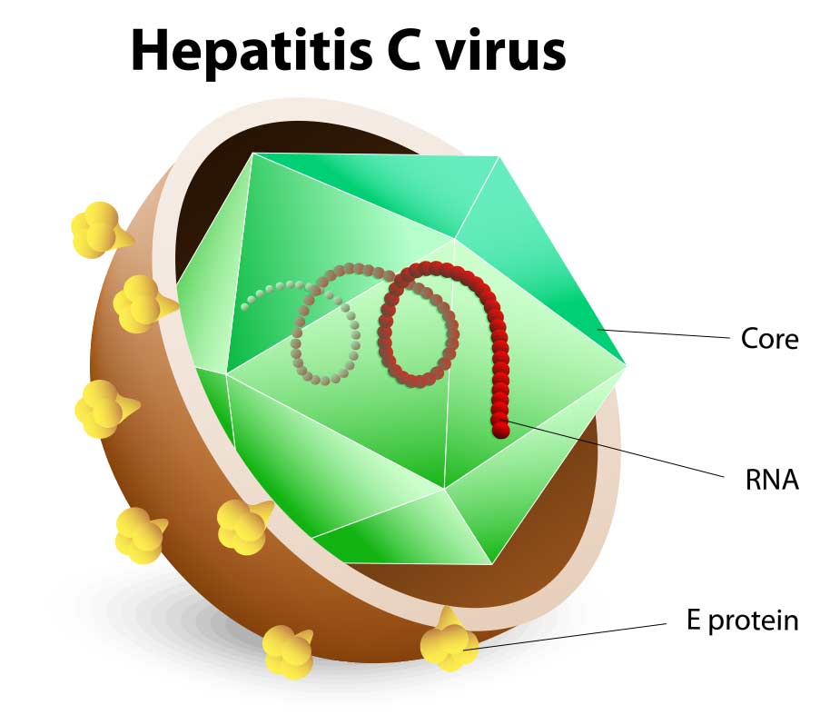 Hepatitis C Medication | Hepatitis Drugs, Brooklyn, NY
